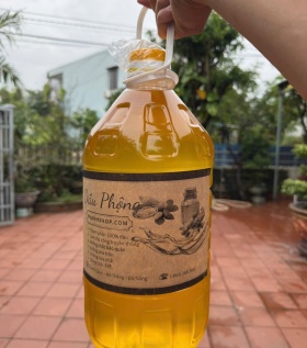 Dầu Phộng Quê Tại Đà Nẵng - Nguyên Chất 100% Ép Thủ Công